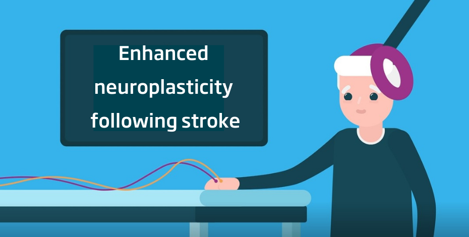 Enhanced neuroplasticity following stroke