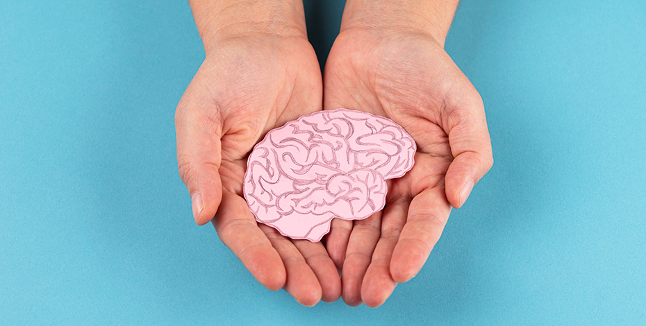 Two hands holding a pink paper cutout of a human brain. A small human brain. 
