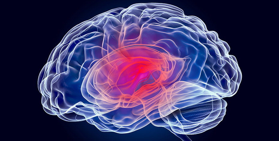 animated graphic of a brain glowing red at its center