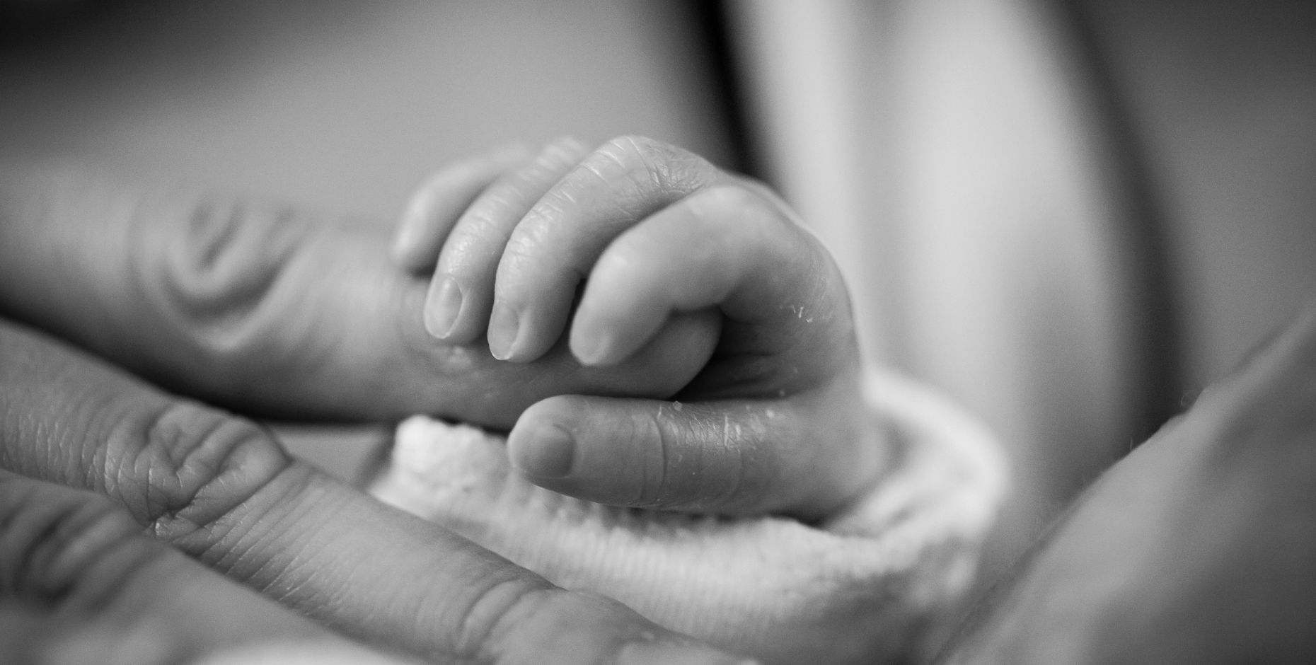 Close up of a newborn baby's hands holding its parent's finger