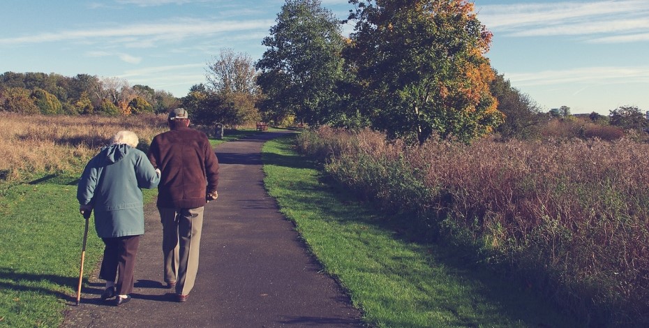 Two older people walking along a path in a picturesque park with both facing away from us one using walking sticks