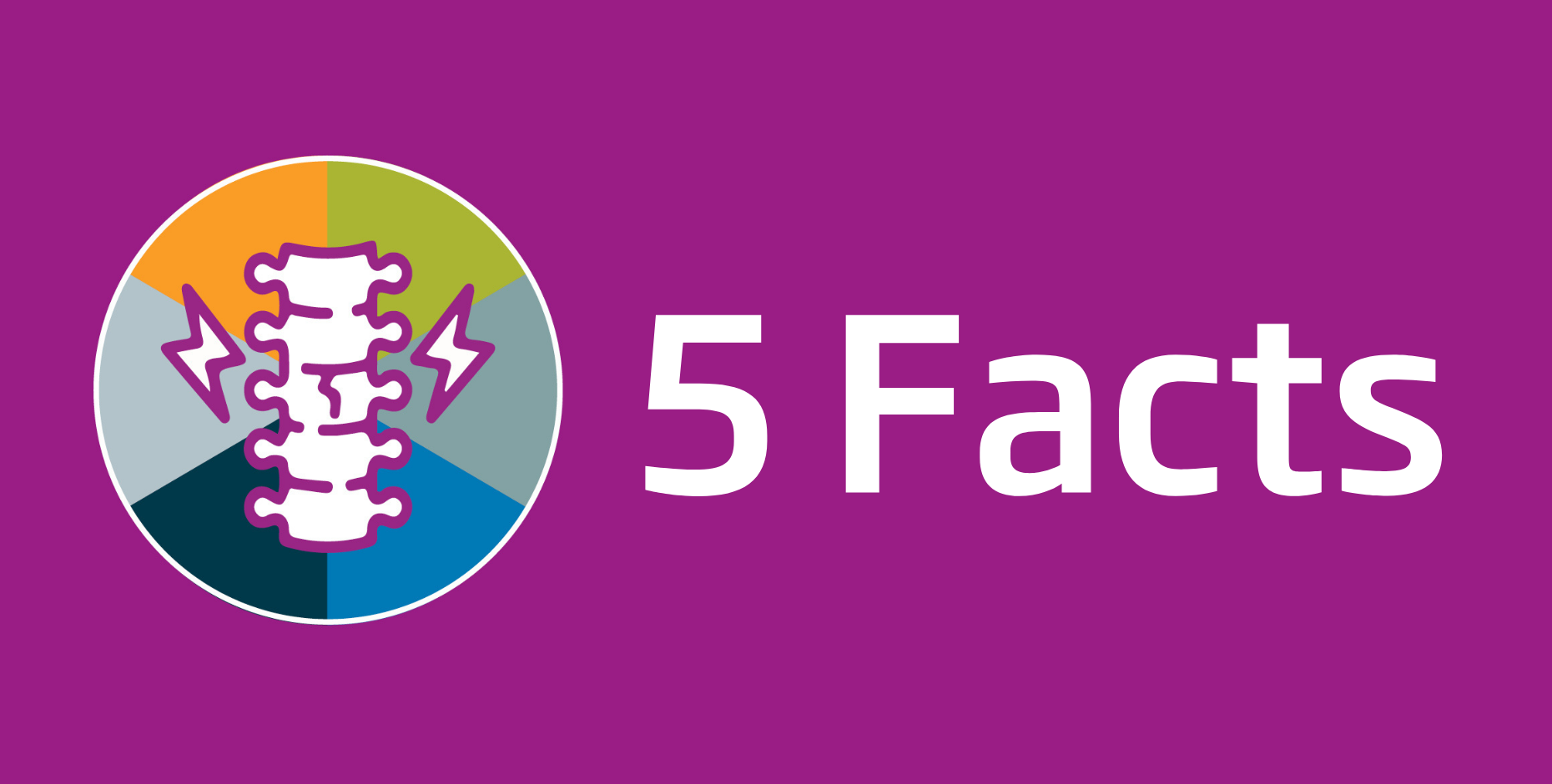 Five facts about spinal cord injury