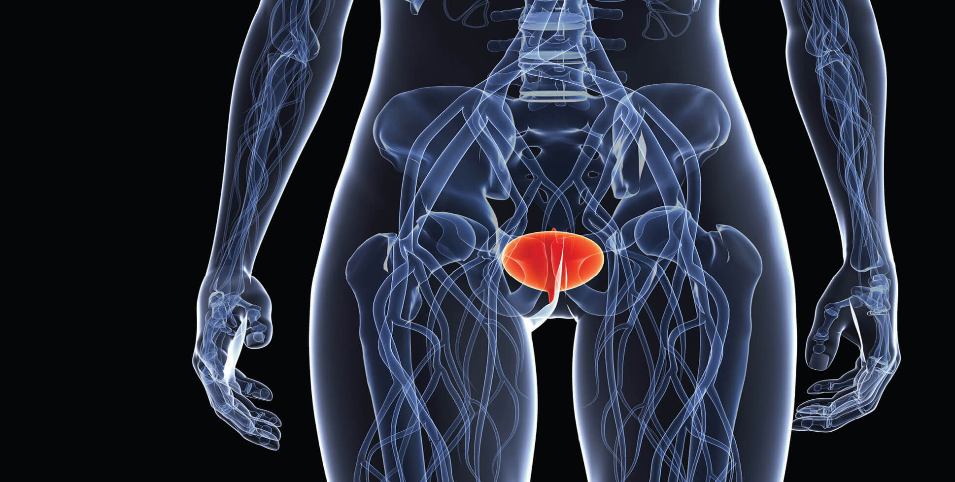 Physiotherapy management of urinary incontinence in females