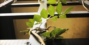 Putting a passion for supporting researchers to work