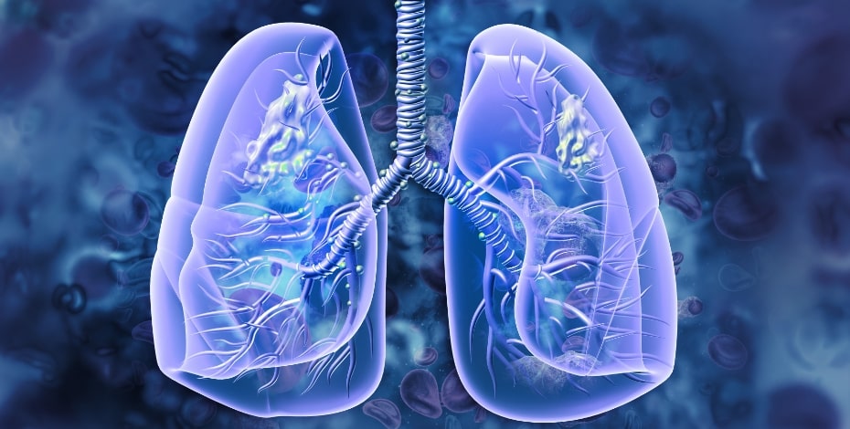 Purple and blue graphic of a pair of lungs.