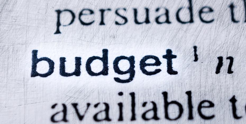 the word budget pictured in typeface and setting as if from a dictionary page