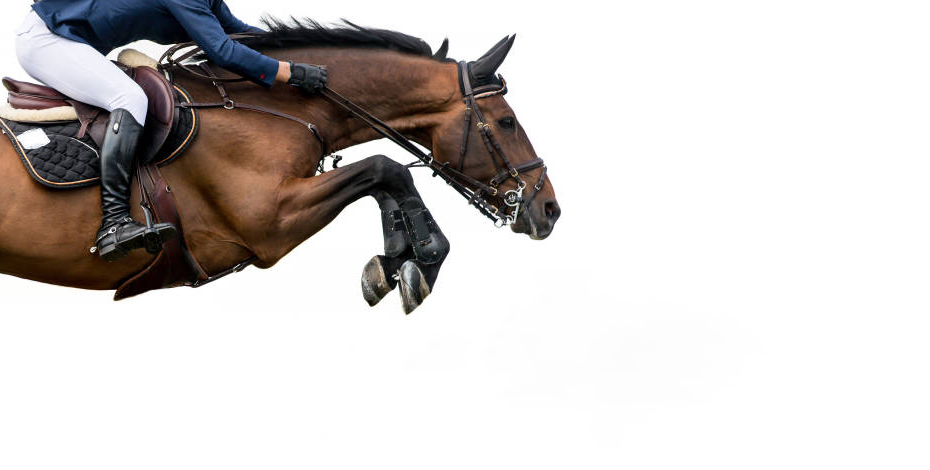 horse and jockey jumping