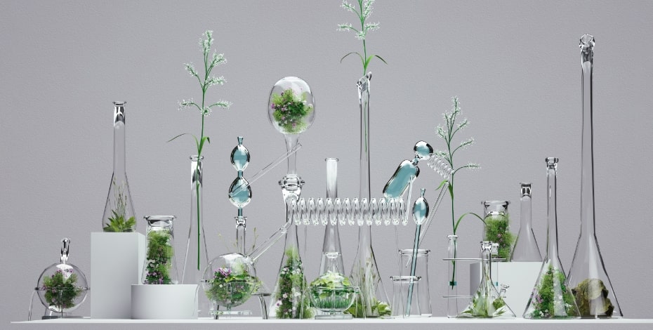 A pretty science lab of glass beakers and titration equipment displayed with flowers and herbs.