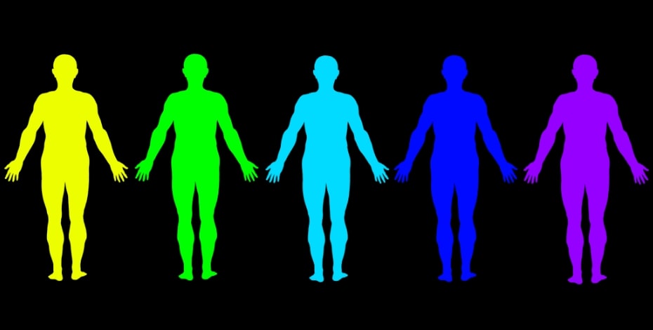 A colourful line of human forms standing in a row like paper dolls.