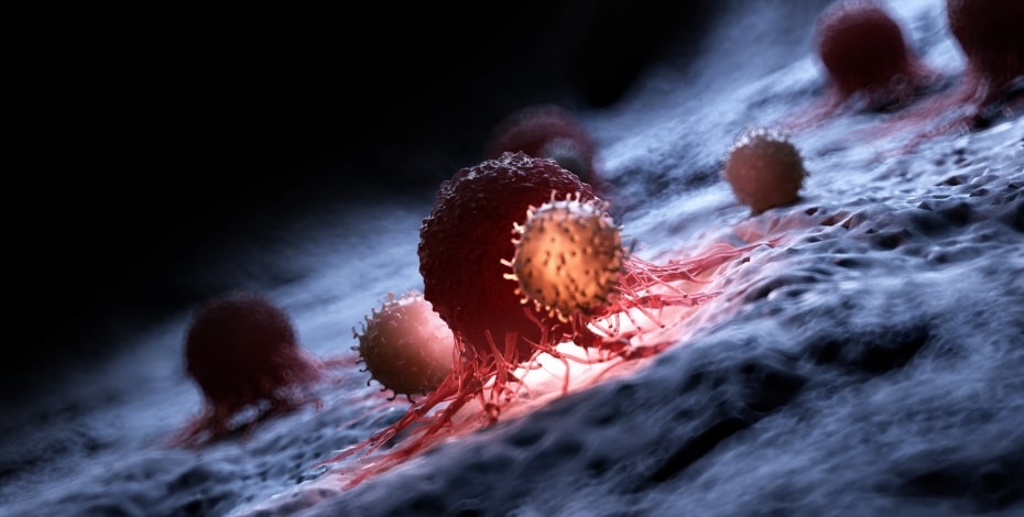 An enhanced microscopic photograph of cancerous blood cells. The cells are red and the background is blurred.