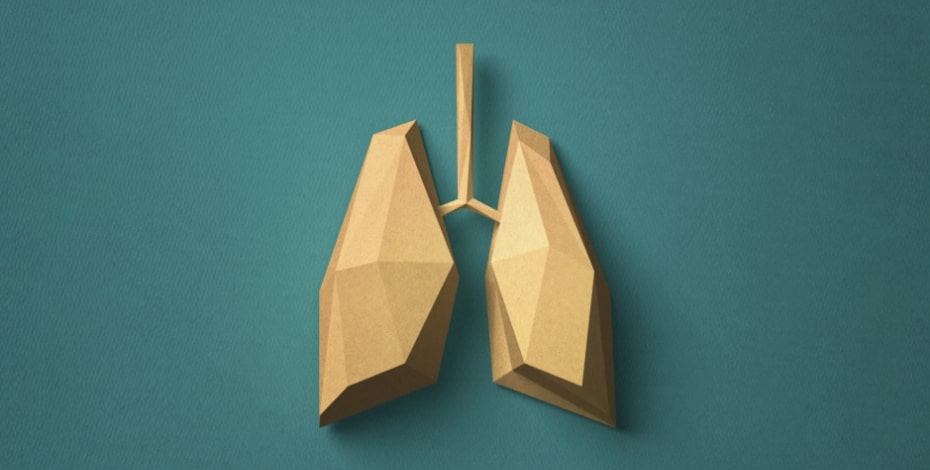 An illustration of a pair of yellow lungs against a teal background. 