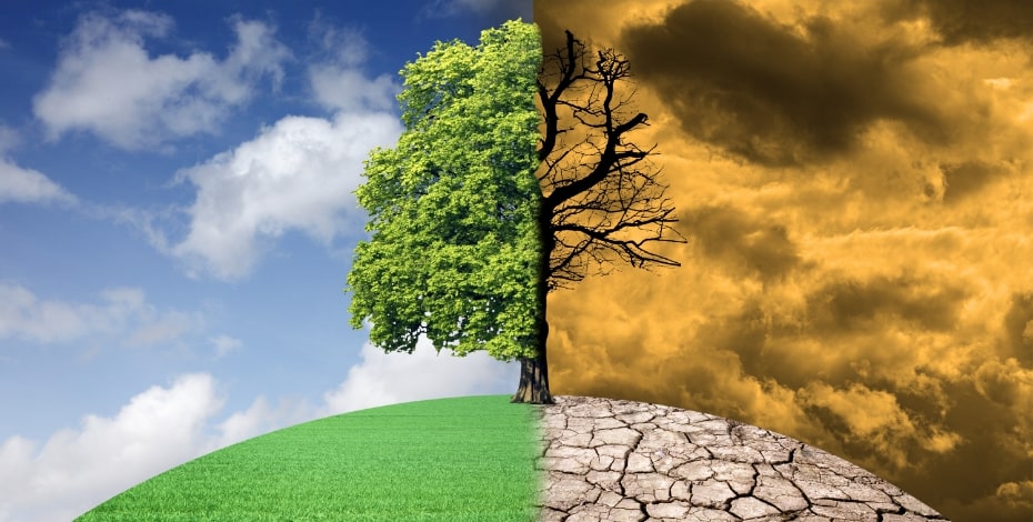 image split in half with the world and a tree looking healthy on the left and dry and desolate on the right