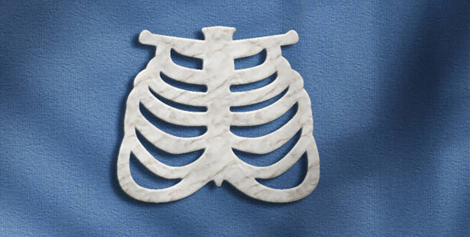 a graphic representation of a rib cage. 
