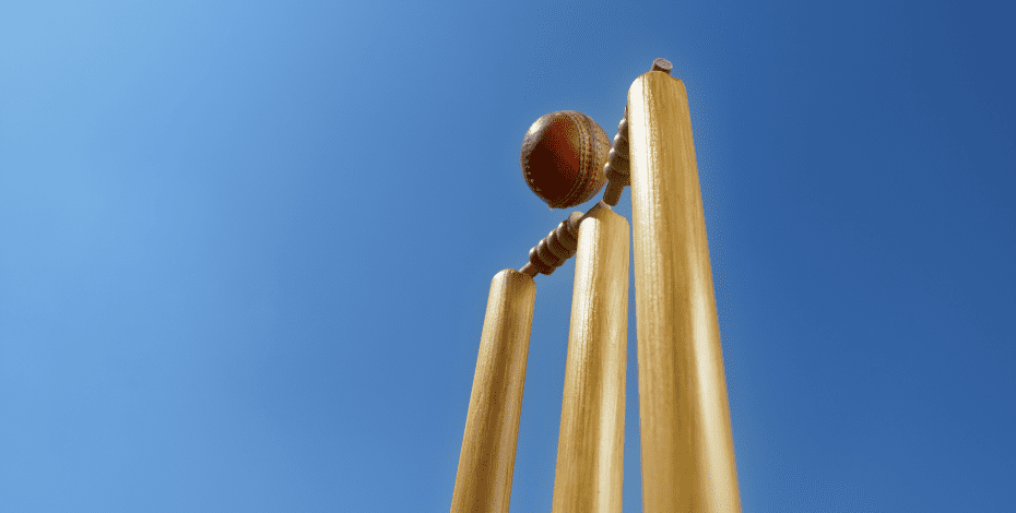 A cricket ball hots the wickets.