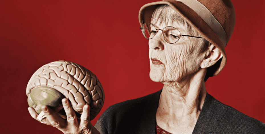 An older woman scrutinizing a model of the brain. 