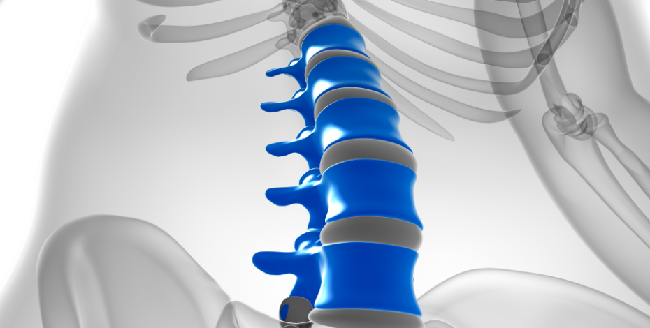 computer generated photo of the spine