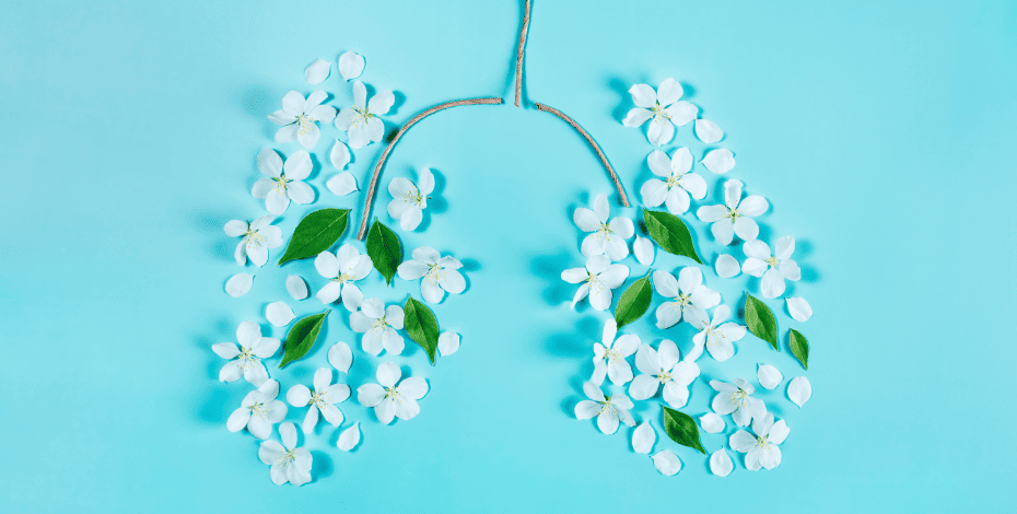 Graphic of flowers representing the lungs