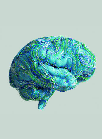 Graphic of the brain