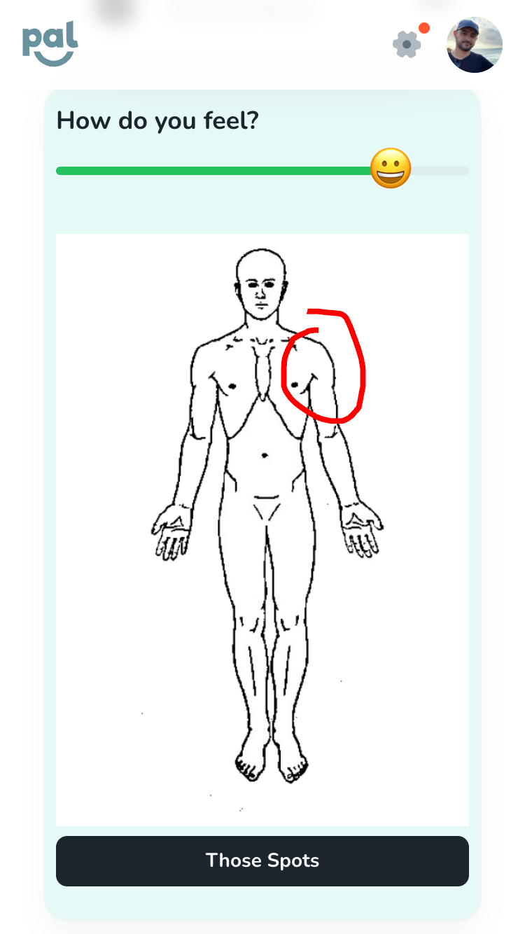 human body