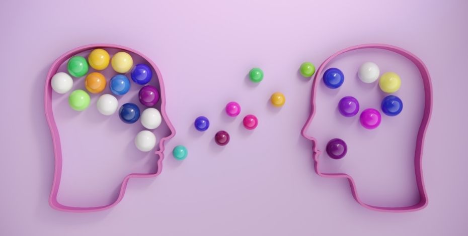 A colourful image showing two brains transferring knowledge to represent mentoring.