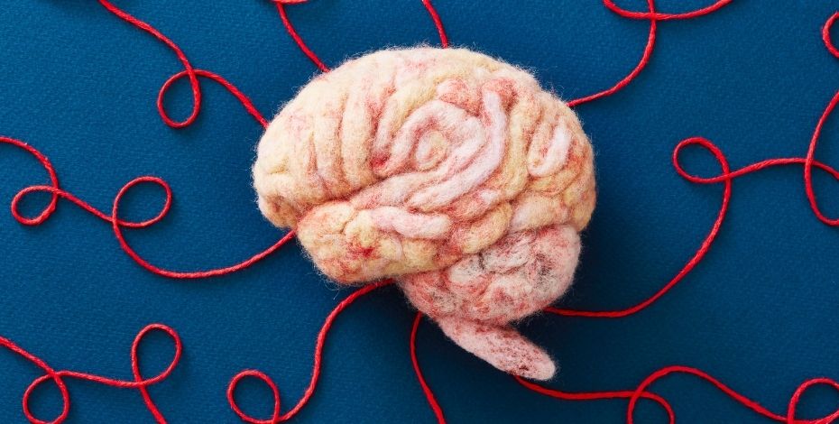 The image is a graphical representation of the brain