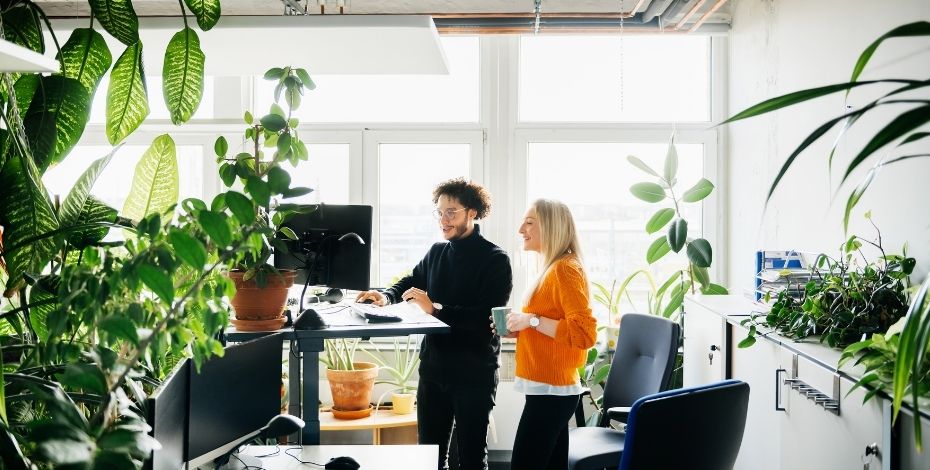 People working in an office