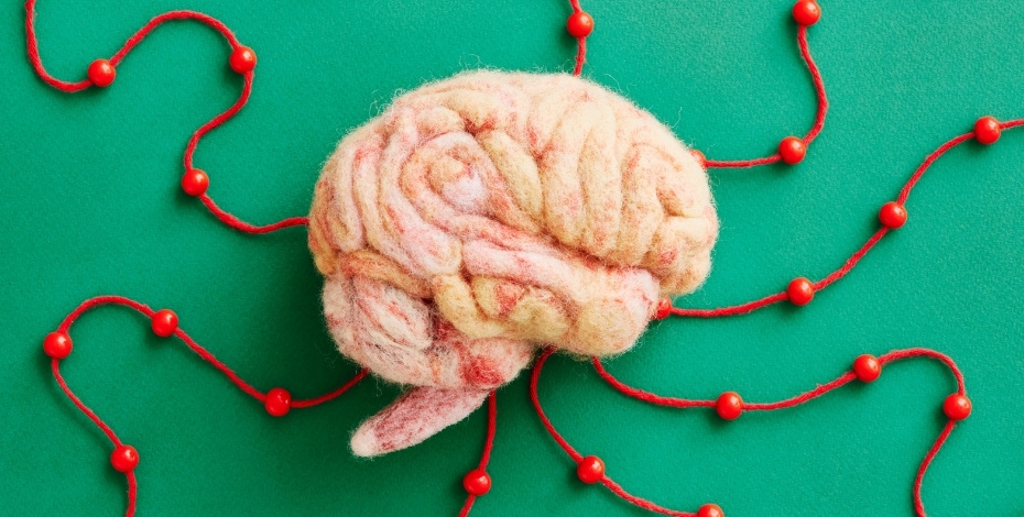 A graphic of the brain with connections