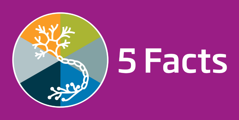 Five facts about physiotherapy and neuropathic pain