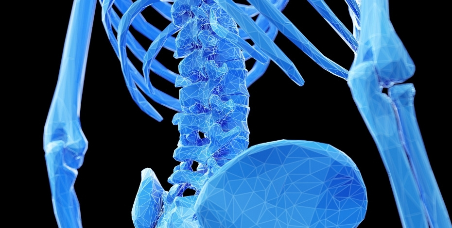 An X-ray image of bones to illustrate a musculoskeletal issue.
