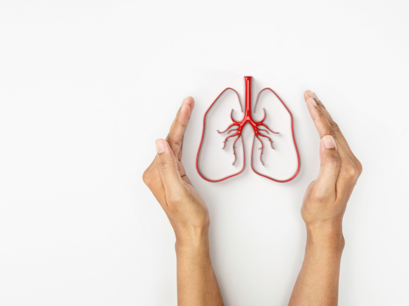 white background, hands outline shape of lungs