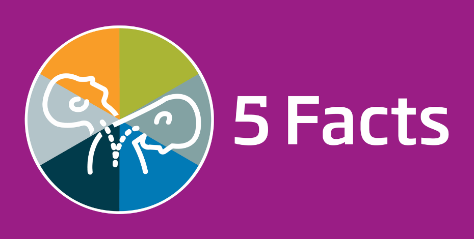 Five facts about physiotherapy and whiplash
