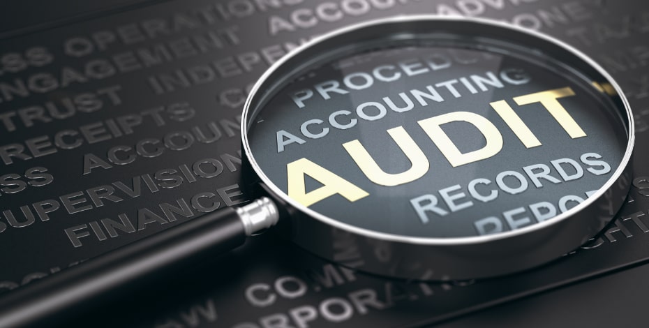 Navigating the auditing process made easy