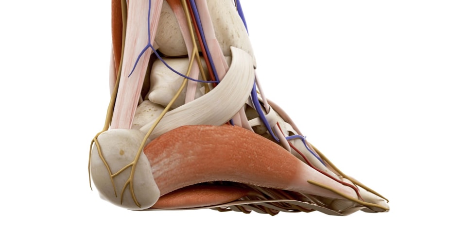 Developing a new treatment for painful Achilles problems