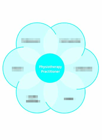 Graphic showing the APA Physiotherapy Competence Framework.