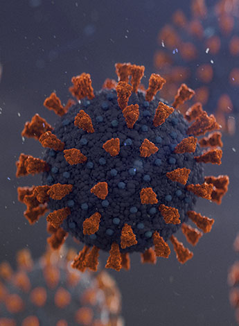 ""image of virus cell