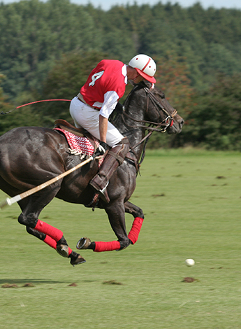 ""person playing polo